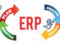 Enterprise Resource Planning